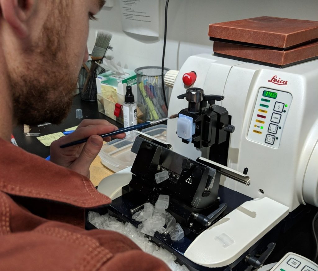 Sectioning Matson's Laboratory