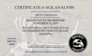 Matson's Lab Age Certificate
