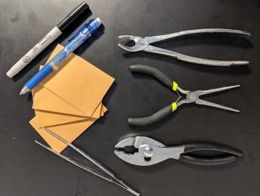 Tools needed for extracting teeth from deer jaws